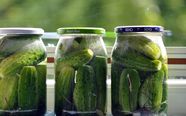 preserving cucumbers