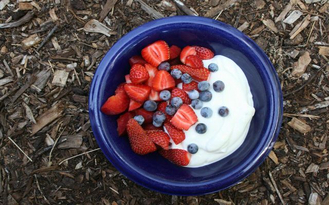 There is a myriad of sustainable substitutions to dairy yogurt. 