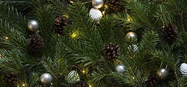 Beleuchtung Fur Den Weihnachtsbaum Nachhaltige Ideen Und Was Du Beachten Solltest Utopia De