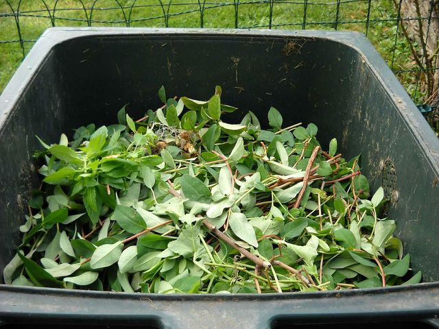Perhaps the trickiest part, getting the proper ratio of carbon to nitrogen in your compost pile will encourage a rapid decomposition of material, but if done wrong, it can also slow this process.