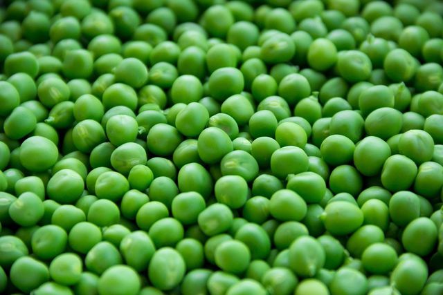 Pea protein is a vegan alternative to whey protein. 