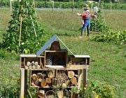 Permaculture designs