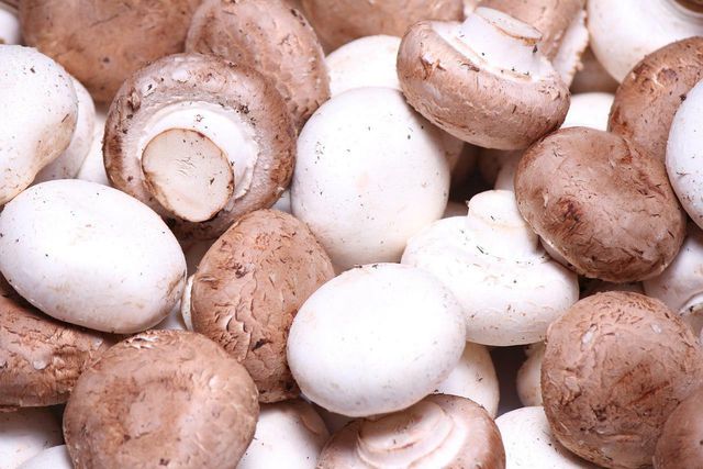 Clean store-bought mushrooms with a gentle rinse of water. 