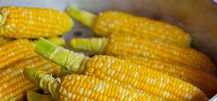 How to freeze sweet corn