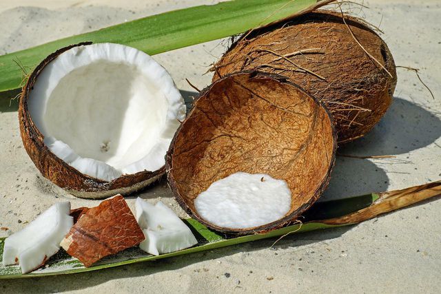 The shells of coconuts are used to make coconut charcoal.